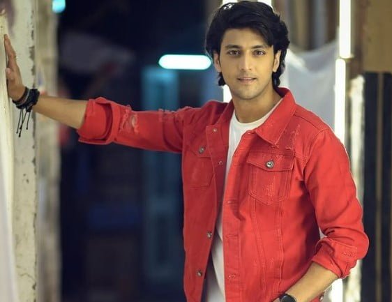 You are currently viewing Kinshuk Vaidya Biography, Wiki, Age, Height, Instagram, and Tv Serials